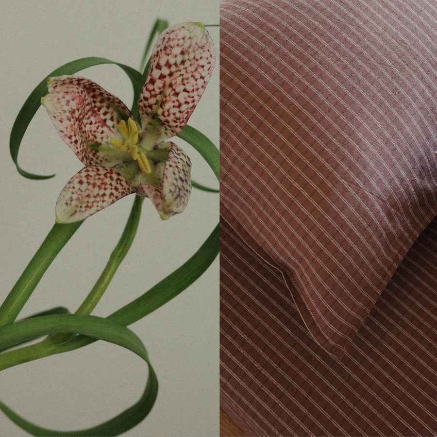 A split image showing a white and red speckled flower with green leaves on the left, and a close-up of a brown fabric item with thin vertical stripes on the right.