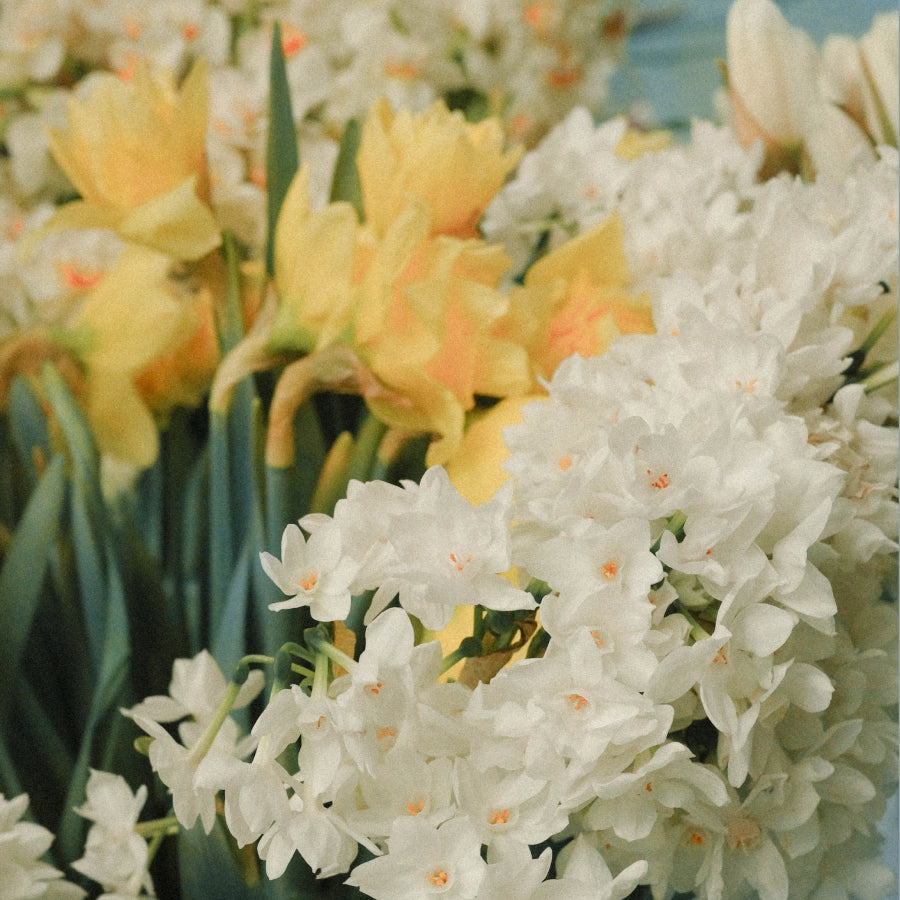 A close-up of a mixed spring flower bouquet featuring dense clusters of white and soft yellow flowers in the background, with green leaves and stems visible.