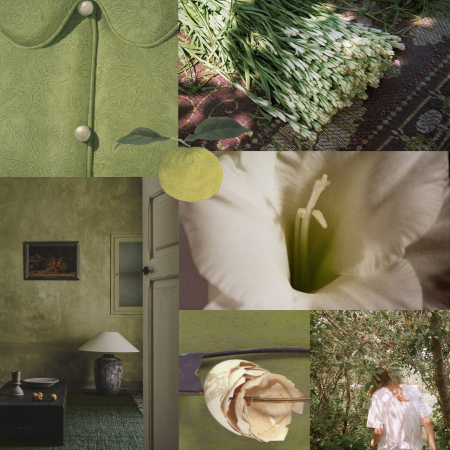 A moodboard-style collage with multiple green-toned photos.
