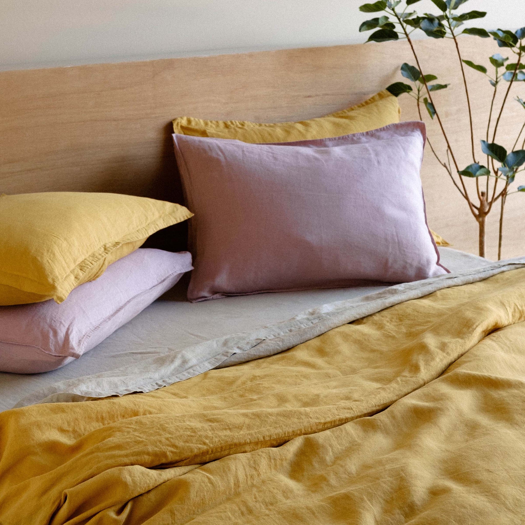 Yolk + Mauve - Pairing